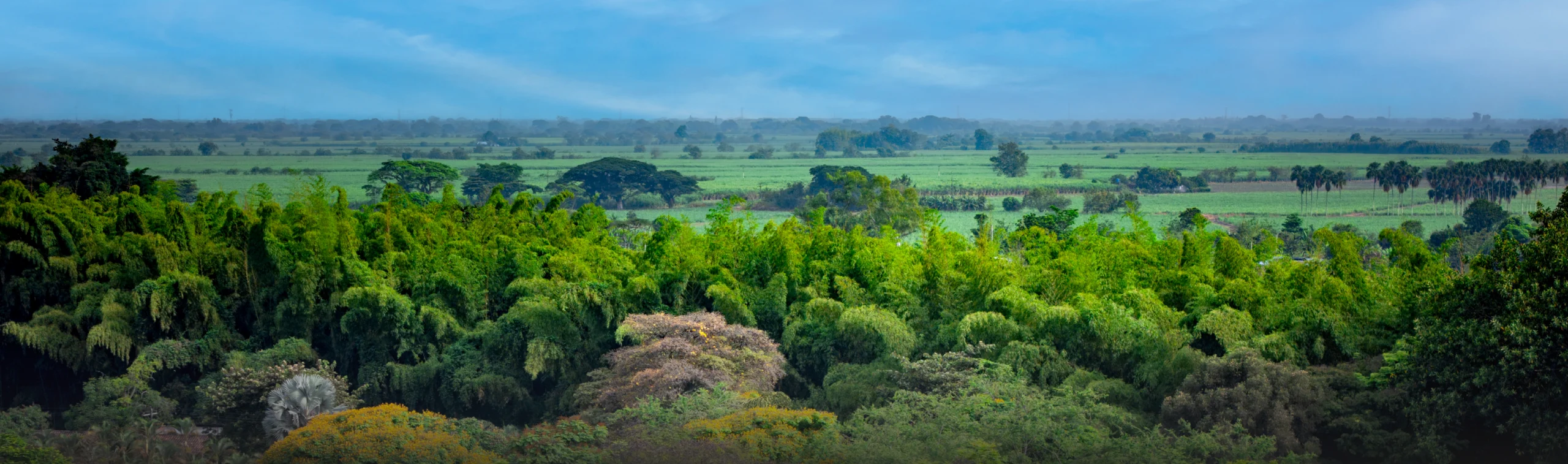 Medio Ambiente y Territorio